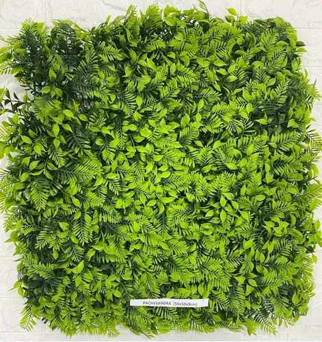 [FOLL-PACHY] FOLLAJE PACHYSANDRA 50X50CM 