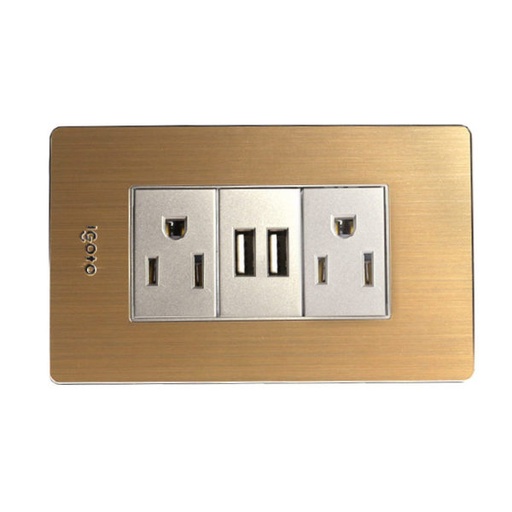 [X105/2-1] TOMACORRIENTE DOBLE CON TIERRA+USB BEIGE SERIE X IGOTO
